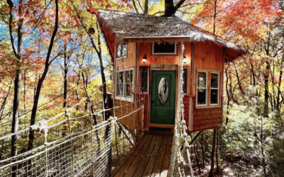 Three Unforgettable Dog-Friendly Treehouse Elopement Ideas